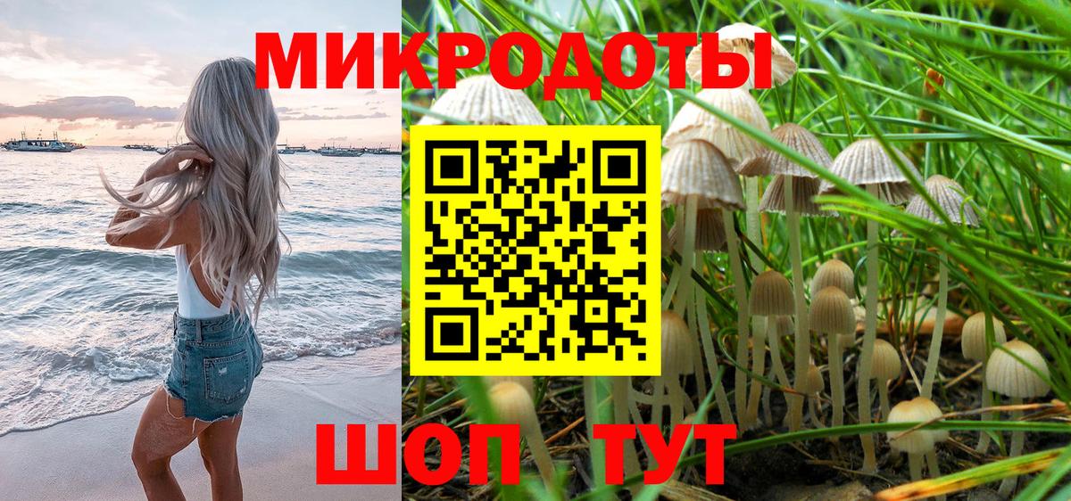 Жигулёвск  Псилоцибиновые грибы GOLDEN TEACHER  Галлюциногенные грибы Psilocybe  Вход с VPN 